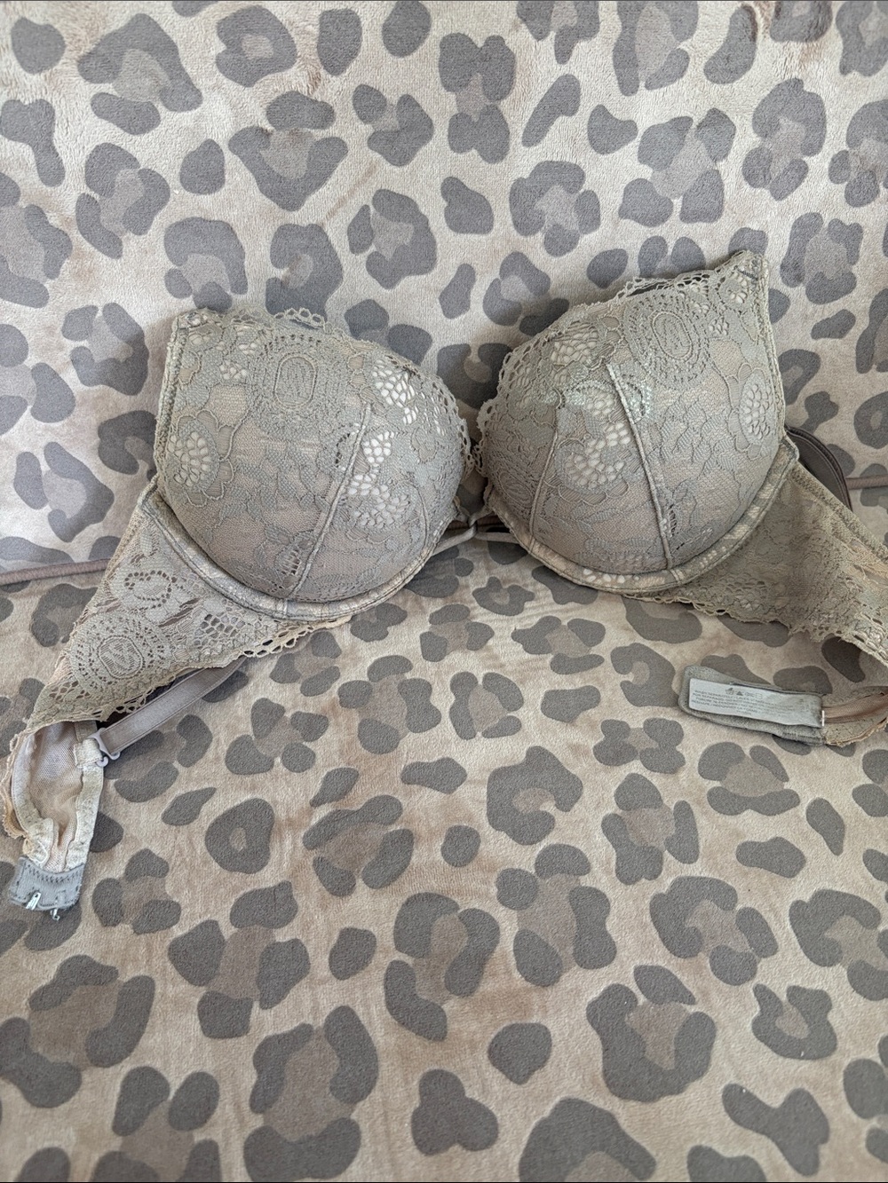 Victoria's Secret Lace Underwire Bra in Taupe Gray